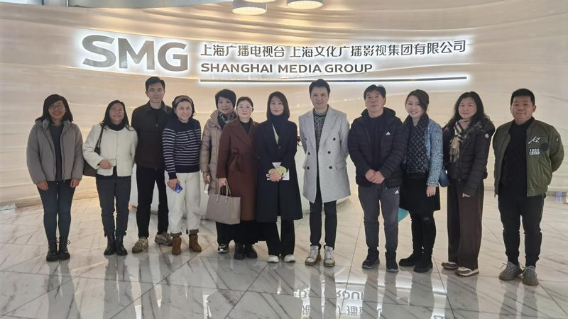 科技公司VI设计：揭秘专业流程与关键步骤